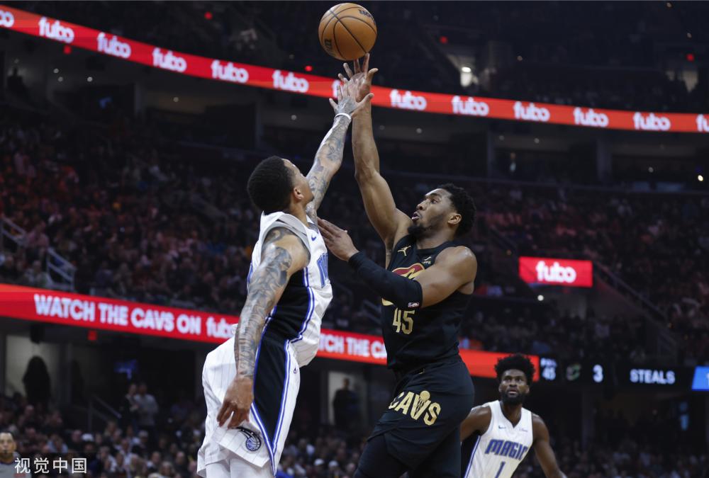 茅庐的新人 茅庐的新人